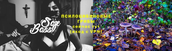 каннабис Алзамай