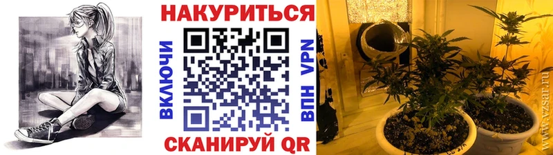 Бошки Шишки Bruce Banner Добрянка
